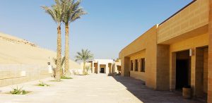 Imhotep museum saqqara