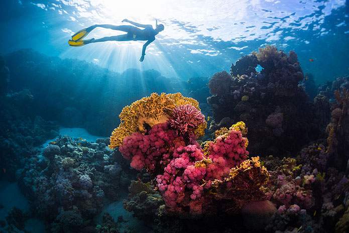 Cairo-Nile-Cruise-and-Sharm-El-Sheikh-Tour-Package-2